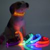 Collar Led luminoso para perros