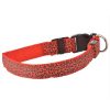 Collar Led luminoso para perros