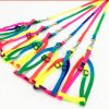 Arnes multicolores para razas pequeñas