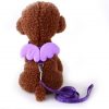 Arnes con alitas para mascotas