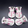 Zapatos para mascotas