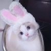 Gorrito orejas de conejo