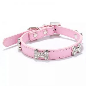 Collar talla XS para mascotas
