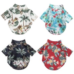 -269484565-2093656254