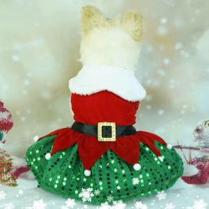 Vestido de duende para mascotas