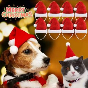 Gorritos de Santa para mascotas
