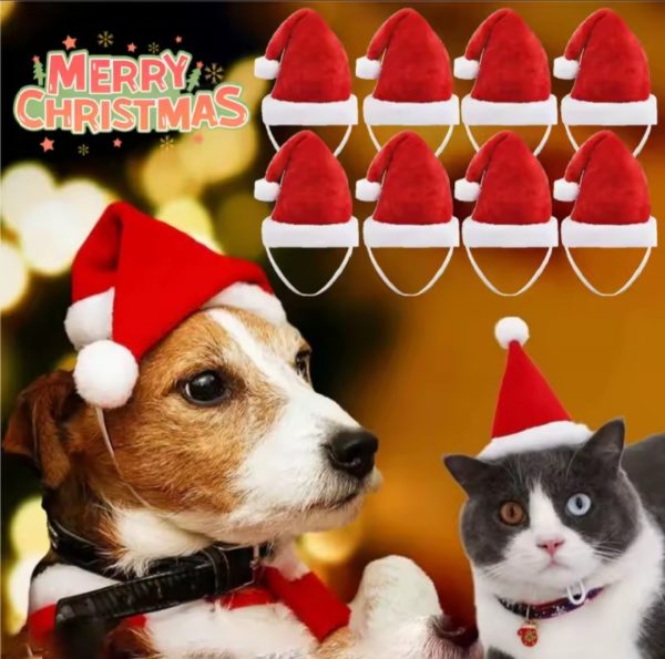 Gorritos de Santa para mascotas
