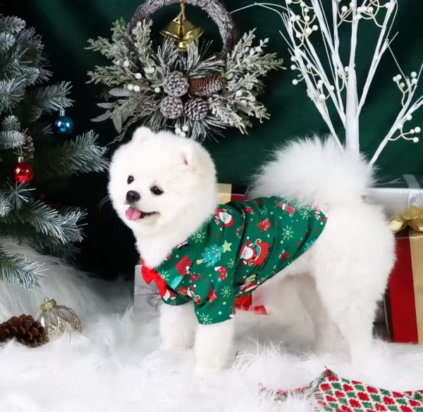Camisas navideñas