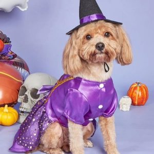 Disfraz Bruja con gorro