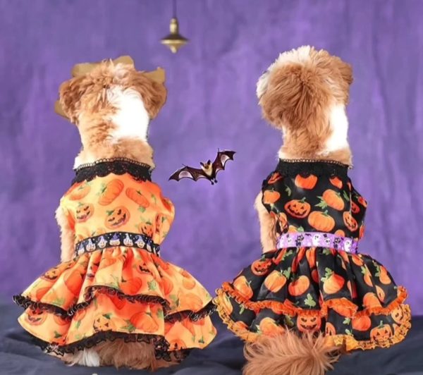 Vestido Halloween