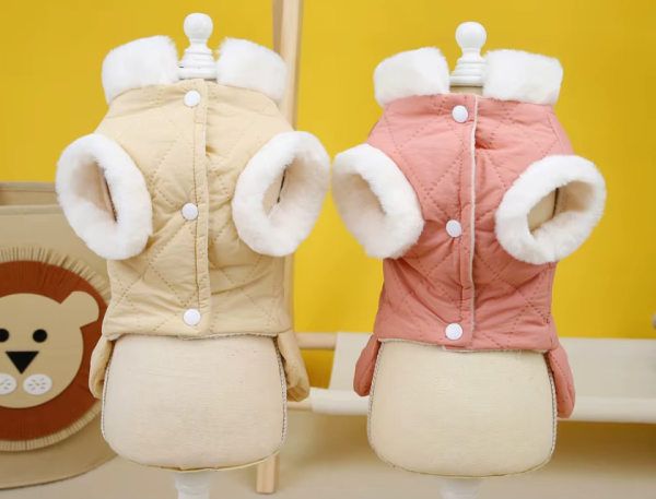 Chaqueta vestido