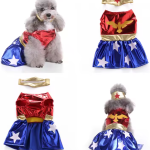 Disfraz de Wonder Woman