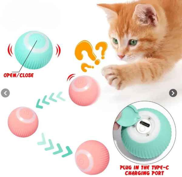 Pelotas con movimiento para gatos