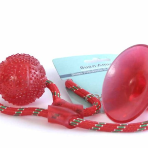 Pelota con cuerda y ventosa