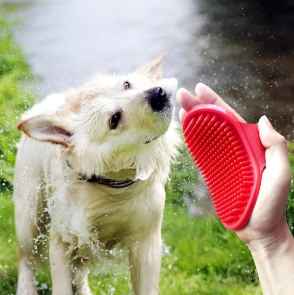 Pet slicker brush