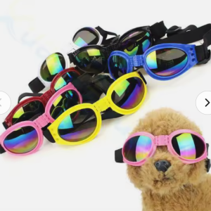 Gafas para perros medianos a grandes