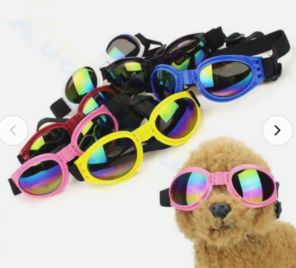 Gafas para perros medianos a grandes