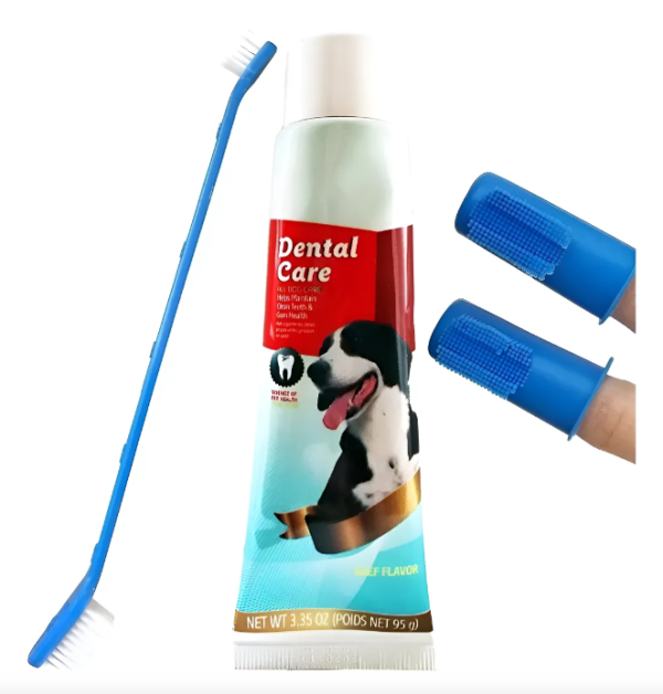 Set dental para mascotas