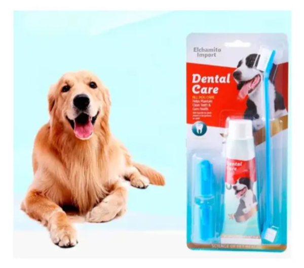 Captura de pantalla 2026-08-28 153505 Set dental para perros