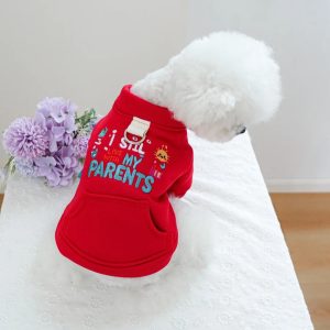 Poleron I Stil Live whit My Parents