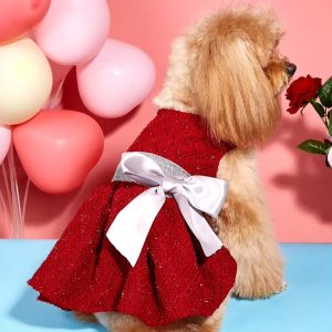 Vestido encaje y brillos