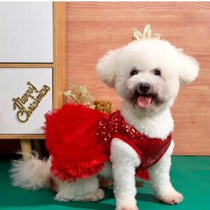 Vestido vuelos y lentejuelas