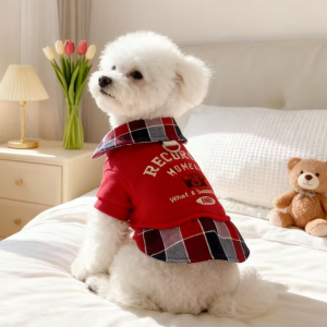 Poleron Recorder Moment