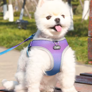 Arnes + correa para mascotas