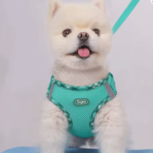 Arnes + correa para mascotas