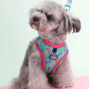 Arnes + correa multicolor