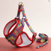 Arnes + correa multicolor