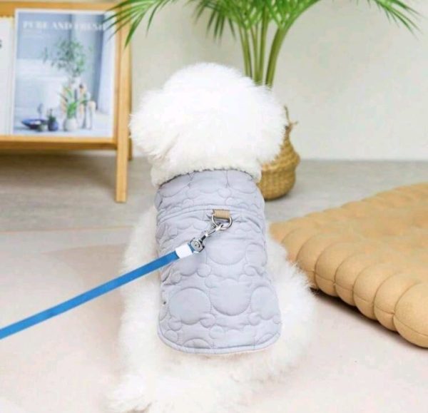 Chaqueta para mascotas