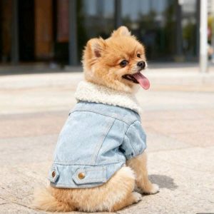 Chaqueta de mezclilla invierno