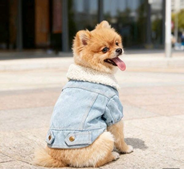 Chaqueta de mezclilla invierno