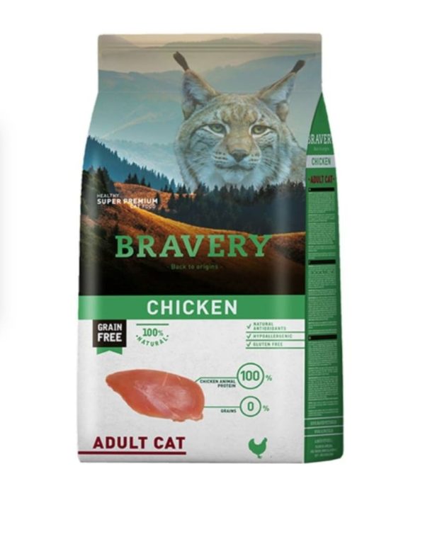 Bravery chicken adult Cat