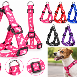 Set Arnés Ajustable + Correa para Perro – Diseño Huesitos y Huellas
