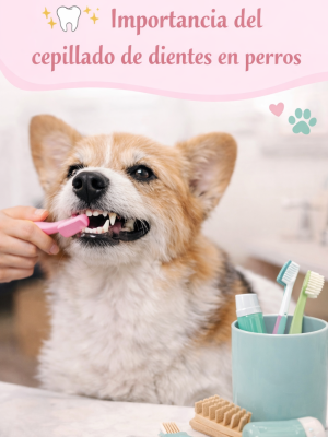 file_00000000e7c0720e8c6fb864acdbab21 (1)